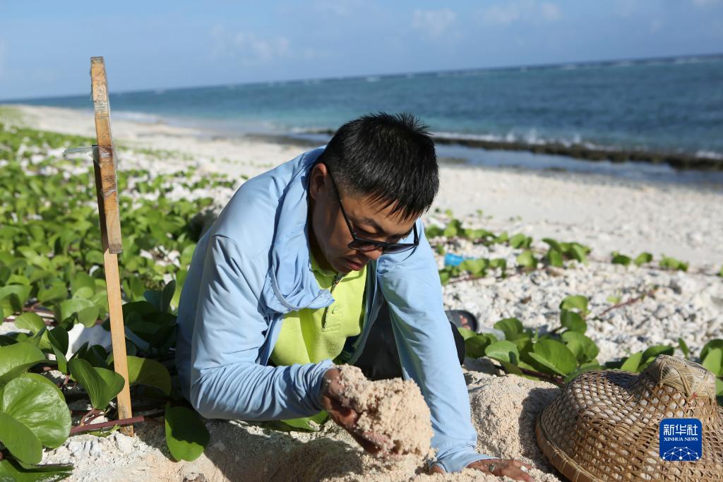 从捕捞到保护：两代人接力守护海龟家园