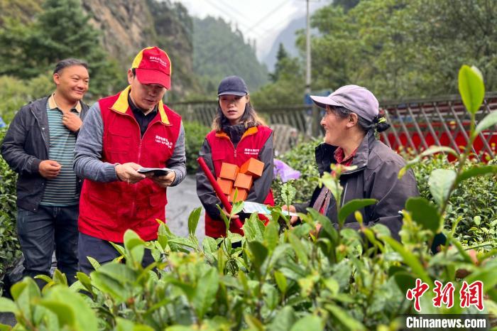 “满格电力”助力西藏山南勒乡茶产业发展