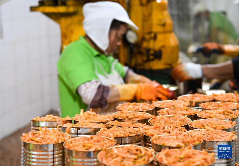 重庆涪陵：百亿级榨菜产业助发展