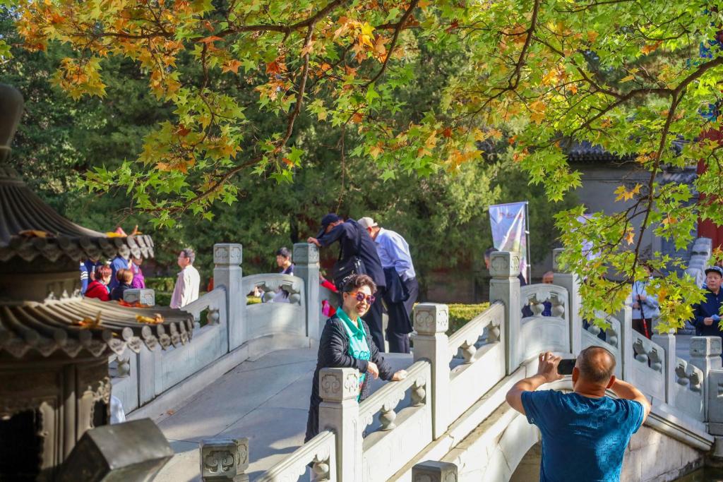 秋景如画 北京香山红叶下周迎最佳观赏期