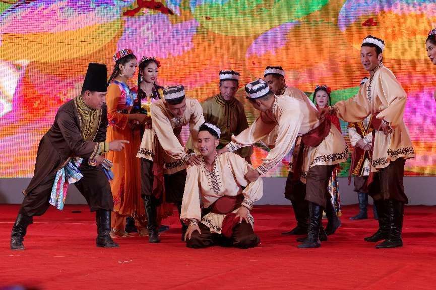 47be01aac86c5d136c7724c7941696f