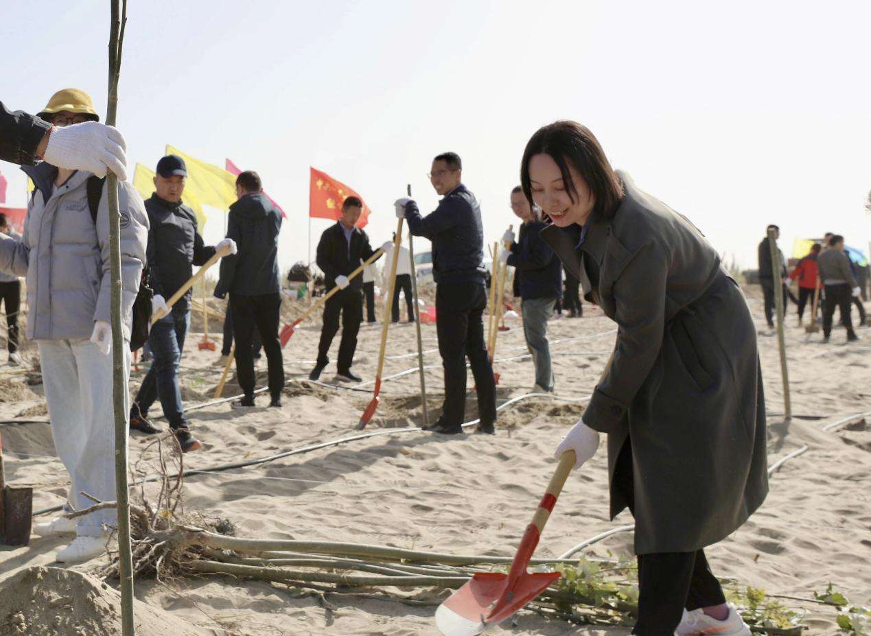 浙江省援疆干部人才开展秋季义务植树造林活动 IMG_6741