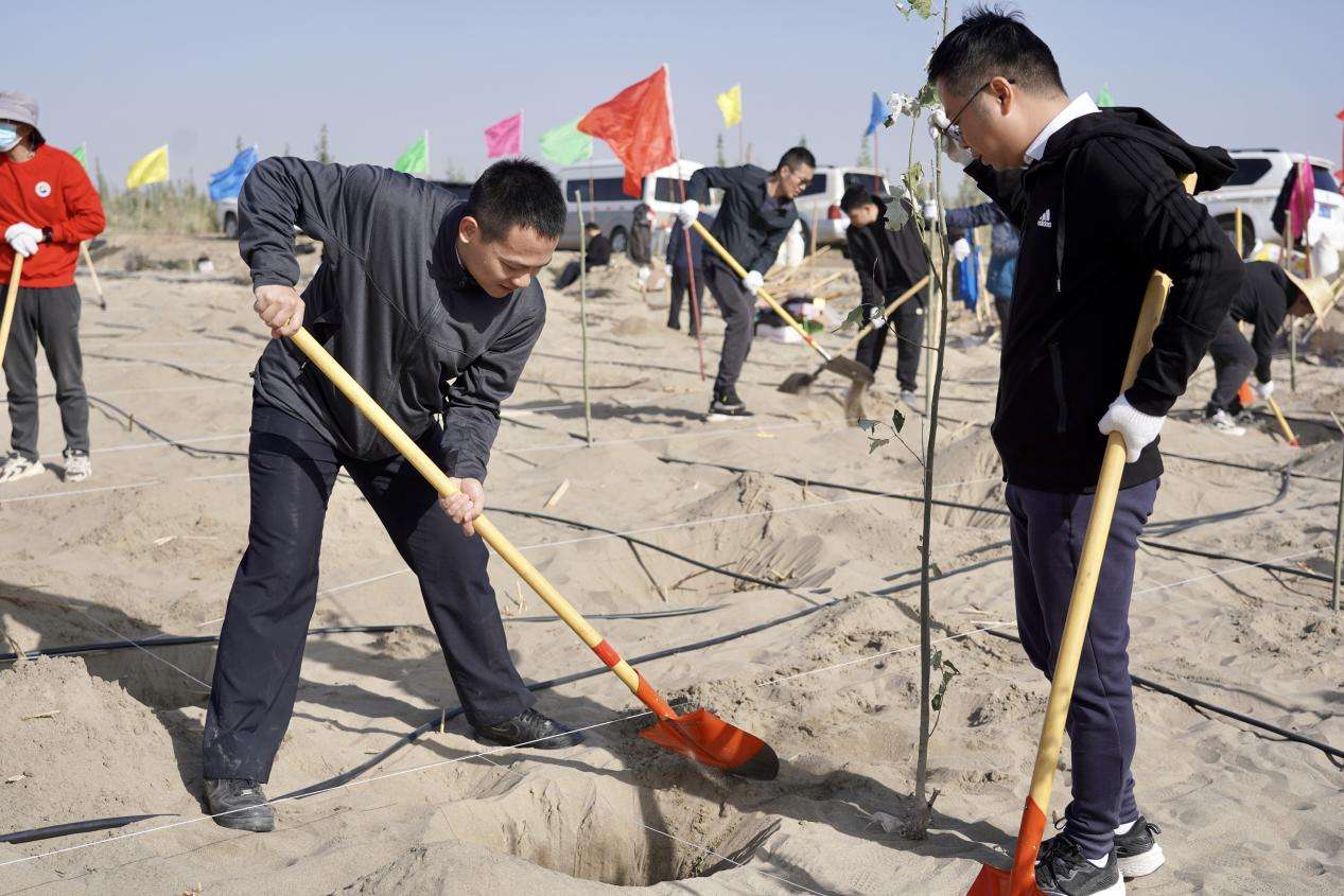 浙江省援疆干部人才开展秋季义务植树造林活动 7fe87670245fdb82e70fead3518e331c