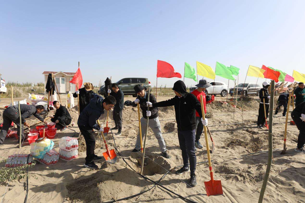 浙江省援疆干部人才开展秋季义务植树造林活动 N90B5294(1)(1)