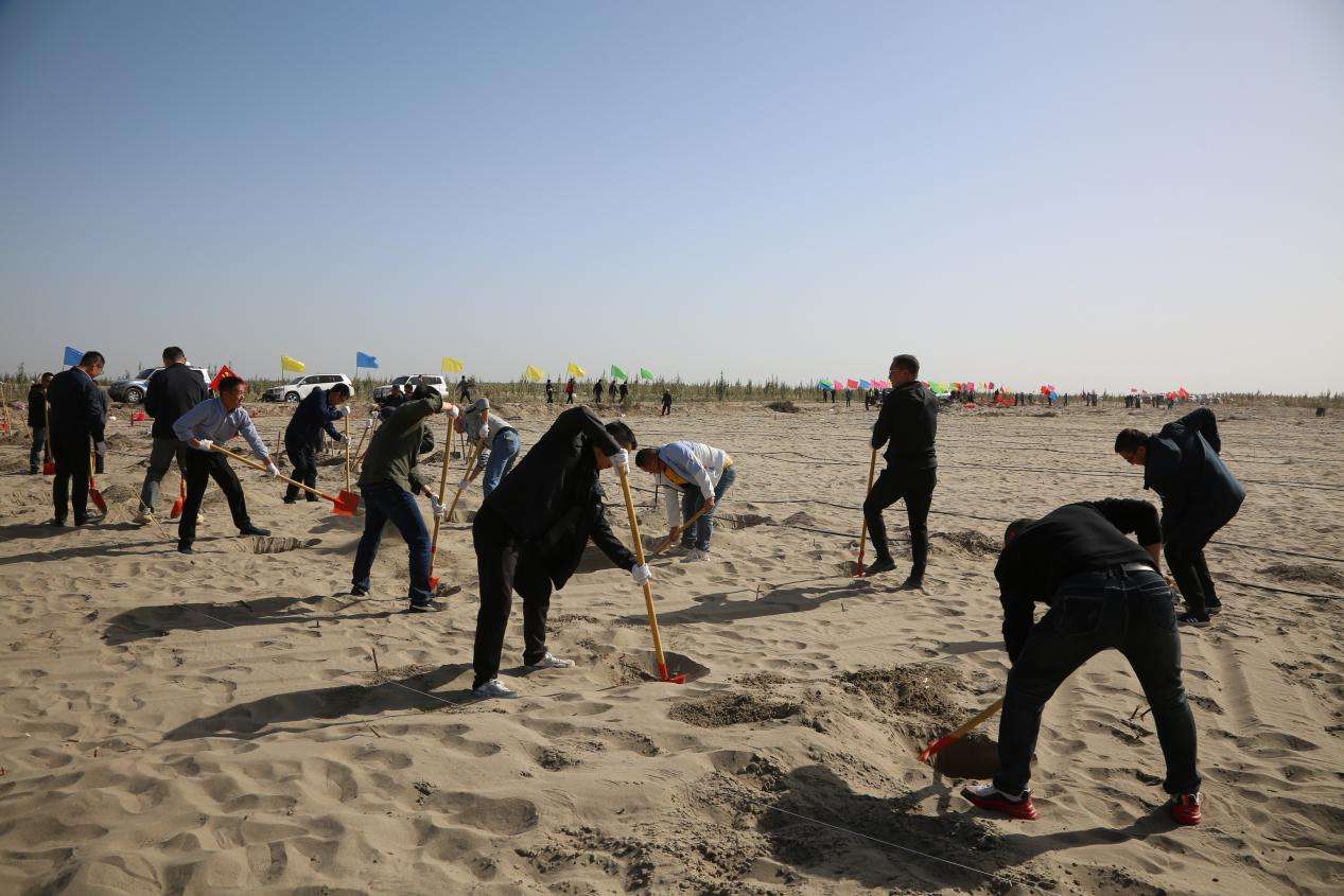 浙江省援疆干部人才开展秋季义务植树造林活动 微信图片_20231026181657