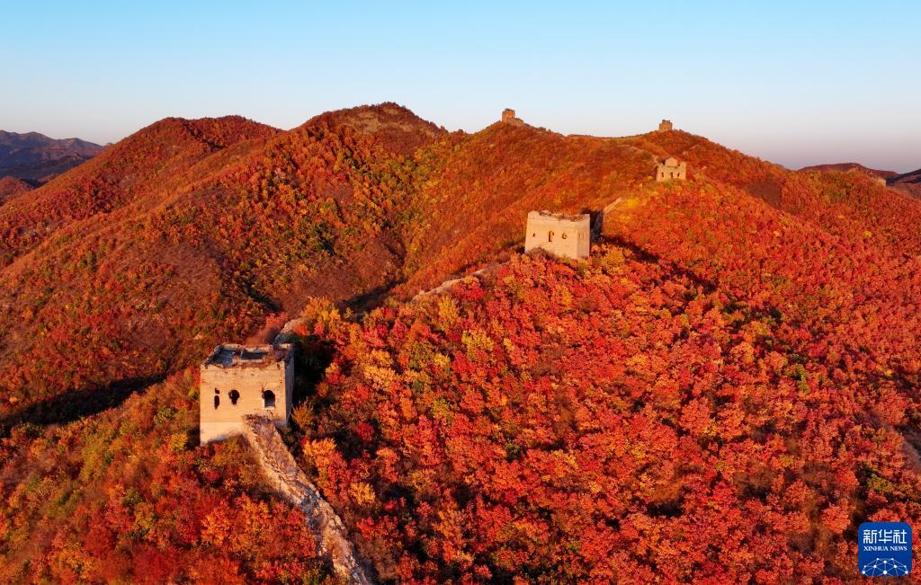 河北秦皇岛：秋染长城入画来