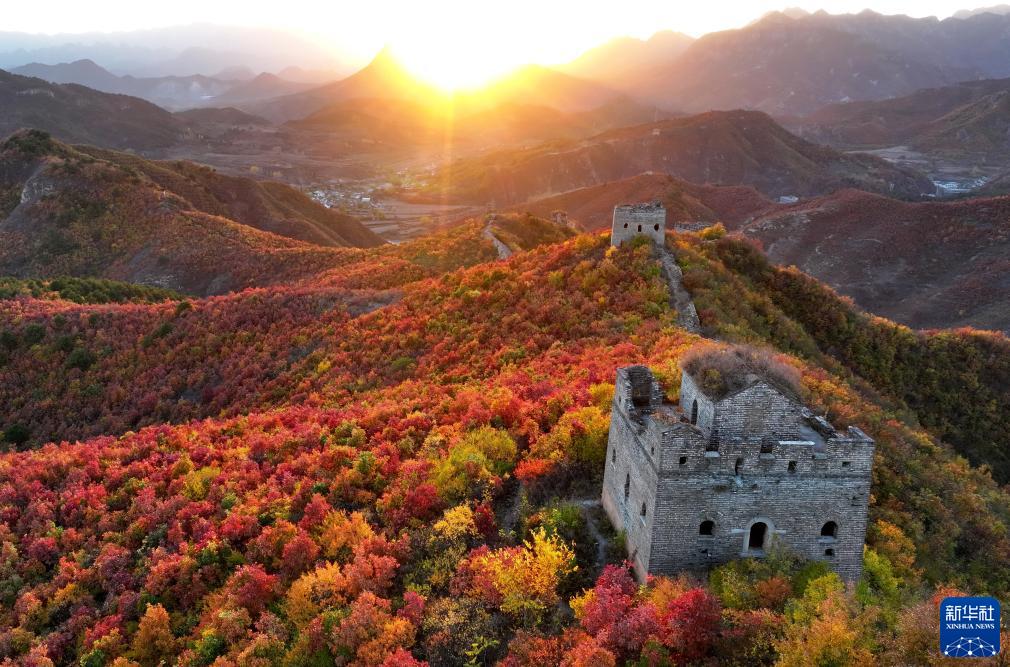河北秦皇岛：秋染长城入画来
