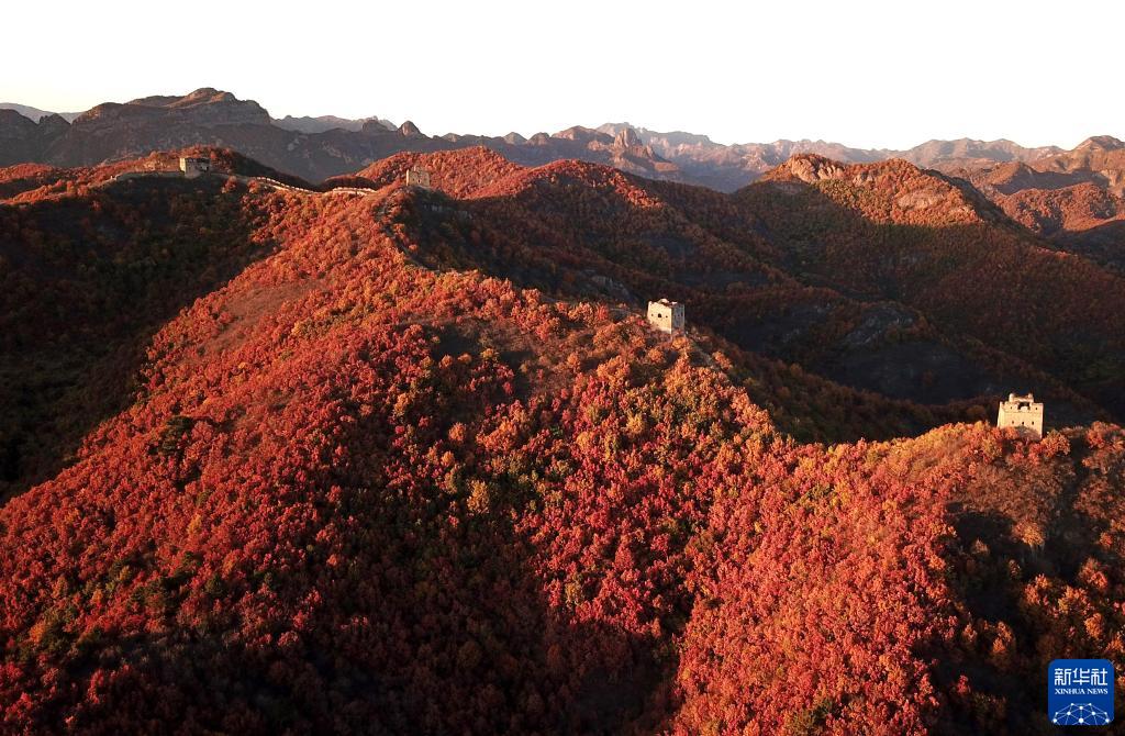 河北秦皇岛：秋染长城入画来