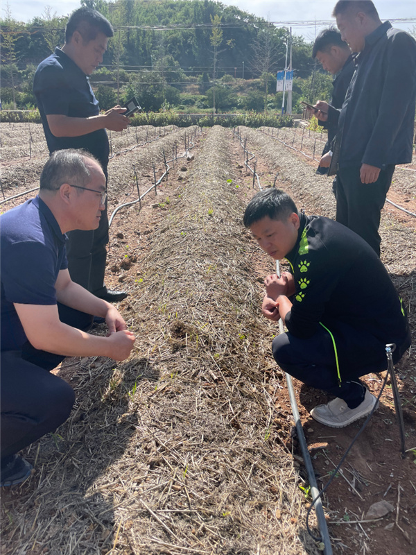 北京市密云区积极推进耕地保护空间复耕复种工作