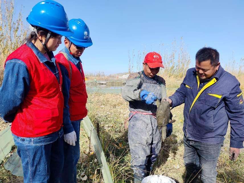 新疆巴州:电力助推博湖水产走俏市场