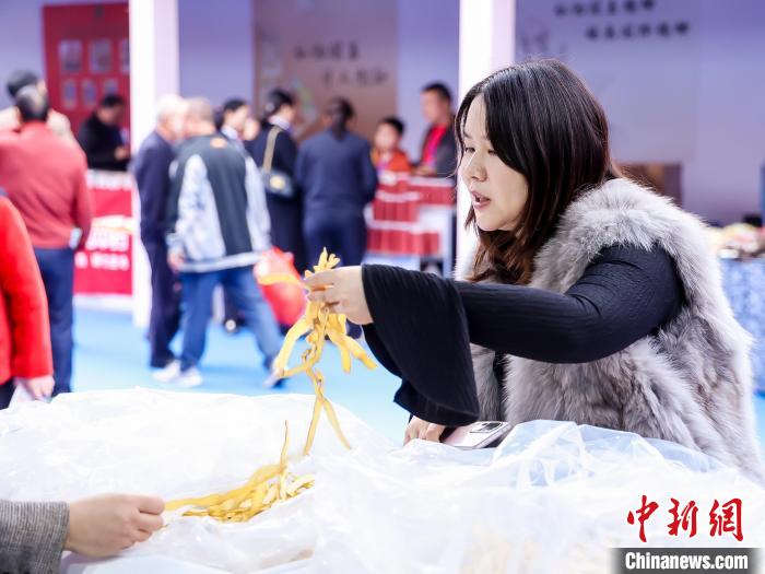 首届湖南（廉桥）中医药产业博览会在“南国药都”开幕