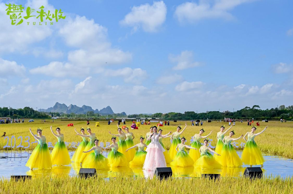 广西玉林稻田文化节10日开幕！带你走进五彩田园