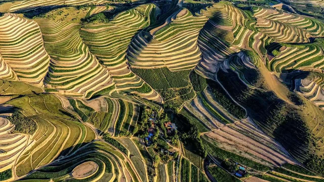 宁夏西吉：从美丽梯田看山乡巨变