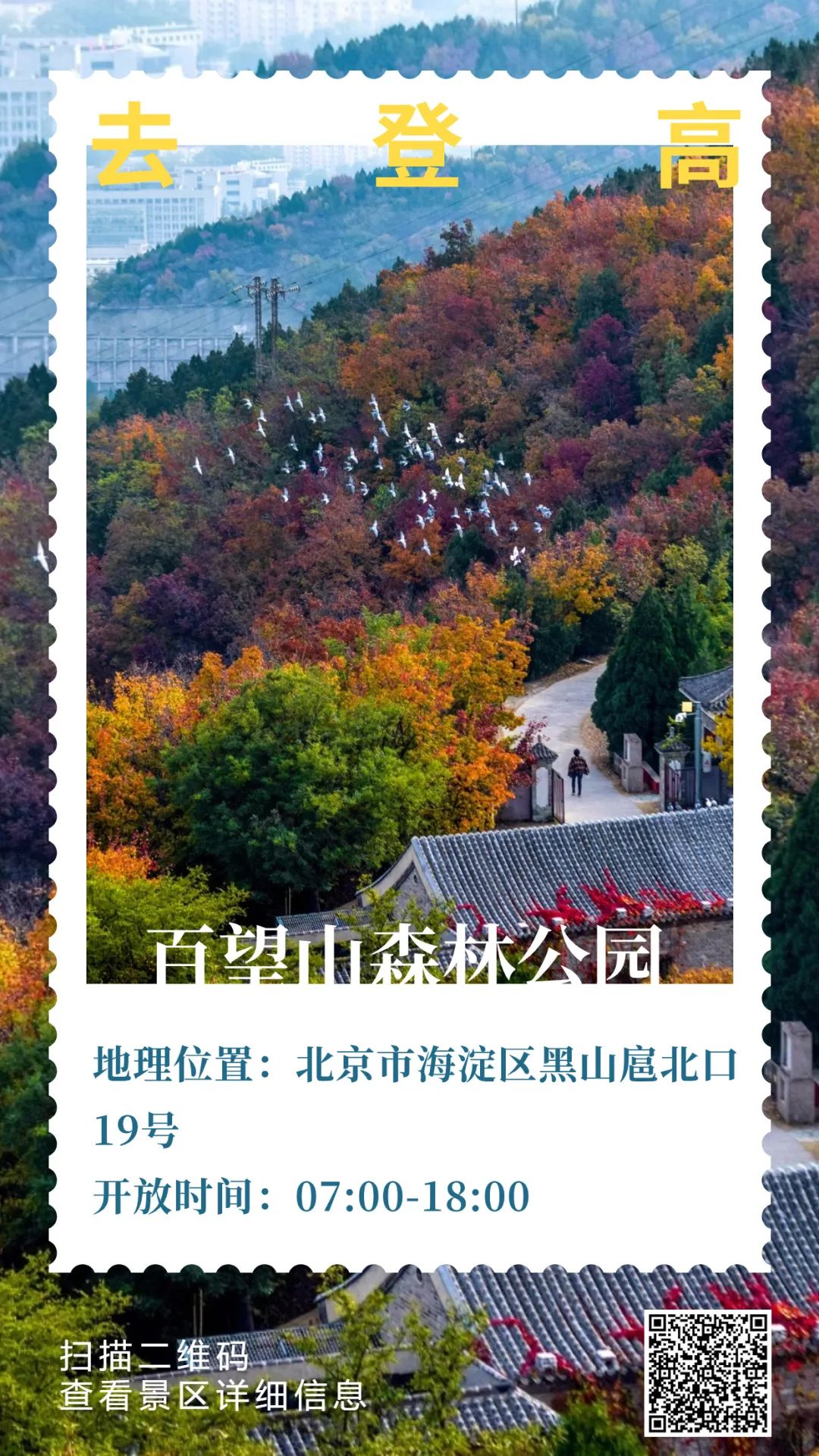 这个秋天，和爸妈一起“老友型”登高吧~
