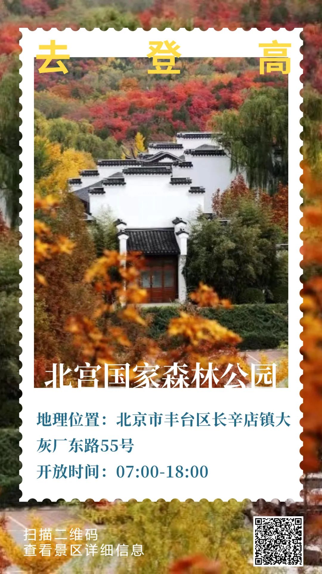 这个秋天，和爸妈一起“老友型”登高吧~