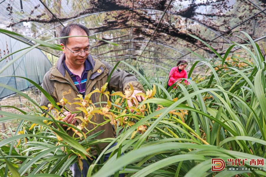 科技育兰 匠心护兰