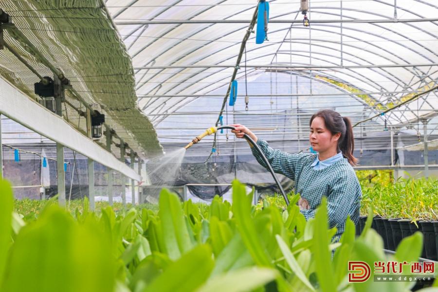 科技育兰 匠心护兰