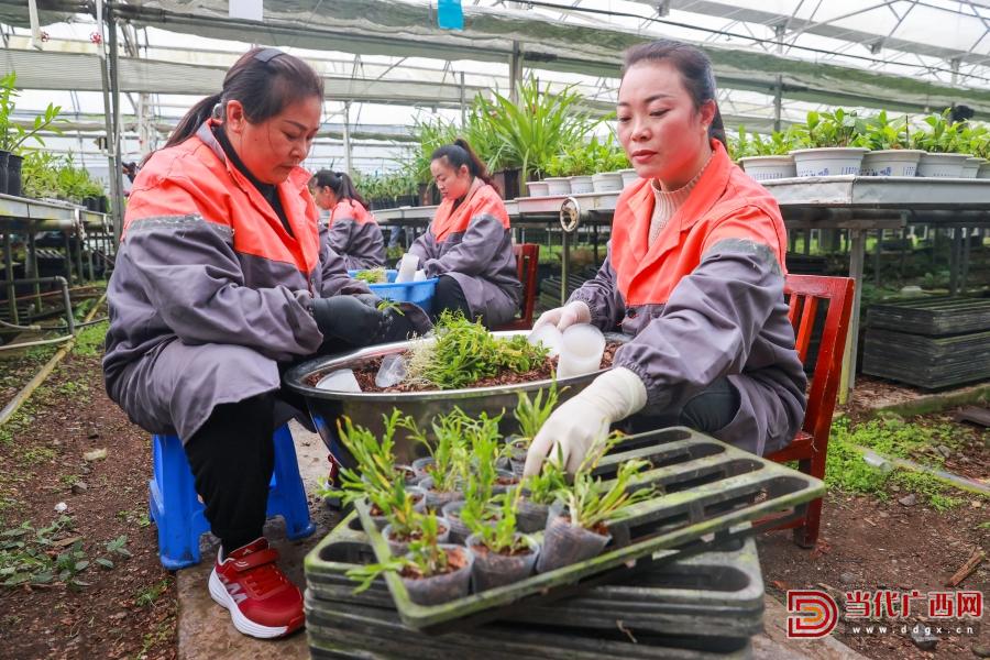 科技育兰 匠心护兰