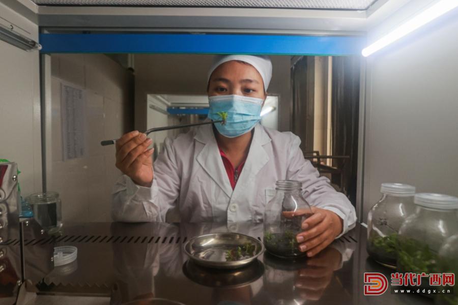 科技育兰 匠心护兰