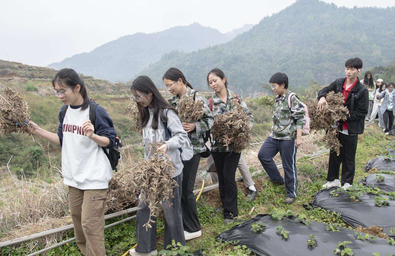 百色学院马克思主义学院：将思政课堂“搬”到田间地头