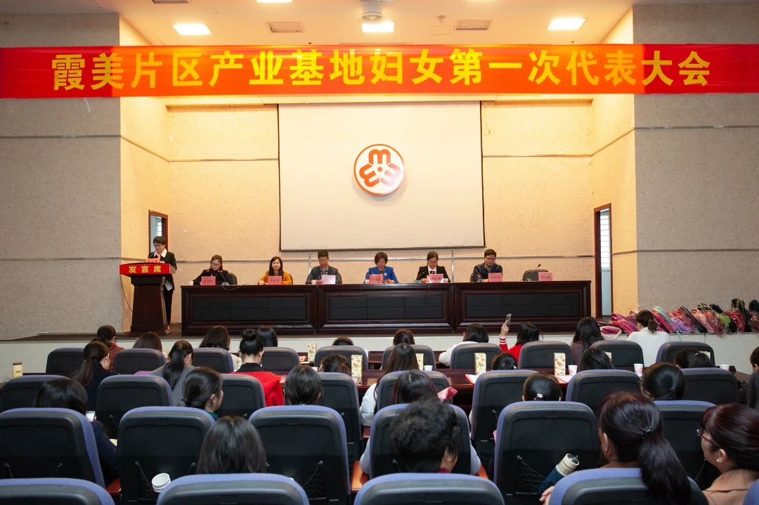 福建省南安市妇联积极推进新兴领域妇联组织建设 “1233”工作法打造温暖“近邻娘家”