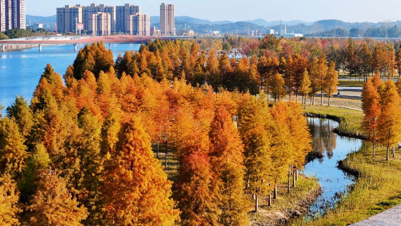 湖北远安：全域推进绿化美化 “四季见景”宜人宜居