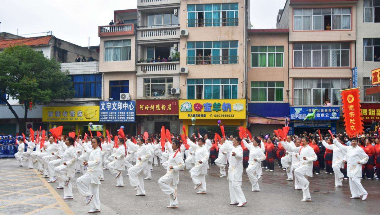 广西德保：矮马“枫”情浓，民俗文化美