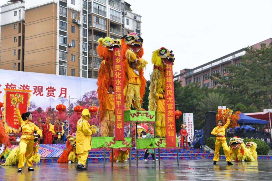 广西德保：矮马“枫”情浓，民俗文化美