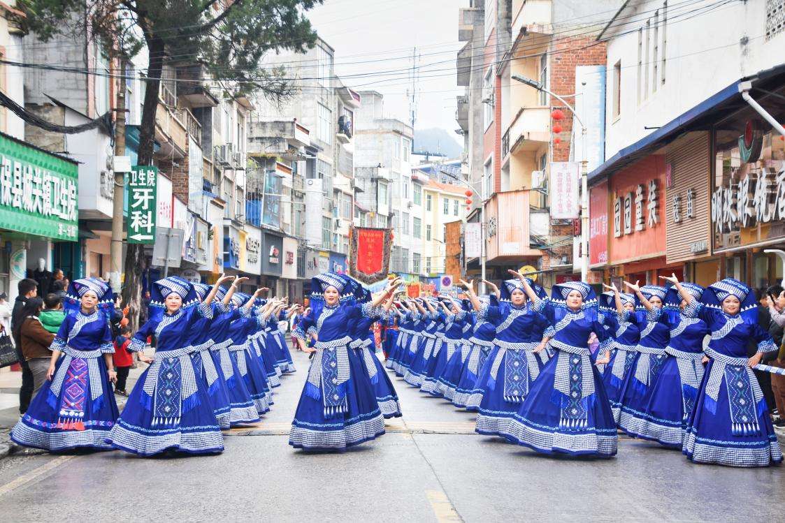 广西德保：矮马“枫”情浓，民俗文化美