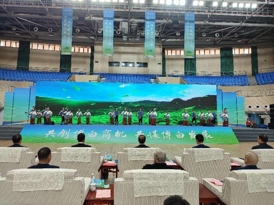 广西博白县首届“博字号”工业博览会开幕