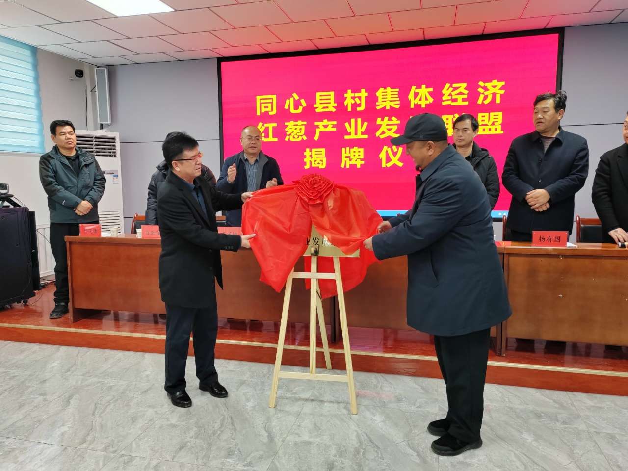 宁夏同心县成立村集体经济红葱产业发展联盟