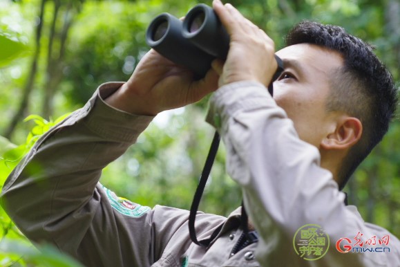 国家公园守护者 | 一名退伍军人的雨林情缘