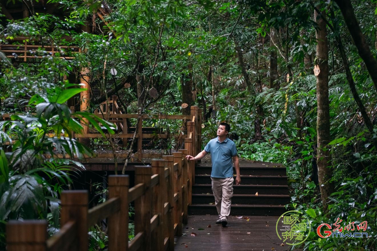 国家公园守护者丨让位自然，雨林新生