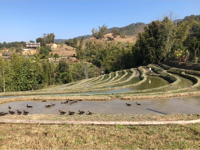 據介紹,鎮沅縣桂海小流域治理工程項目是雲南省2020年國家水土保持