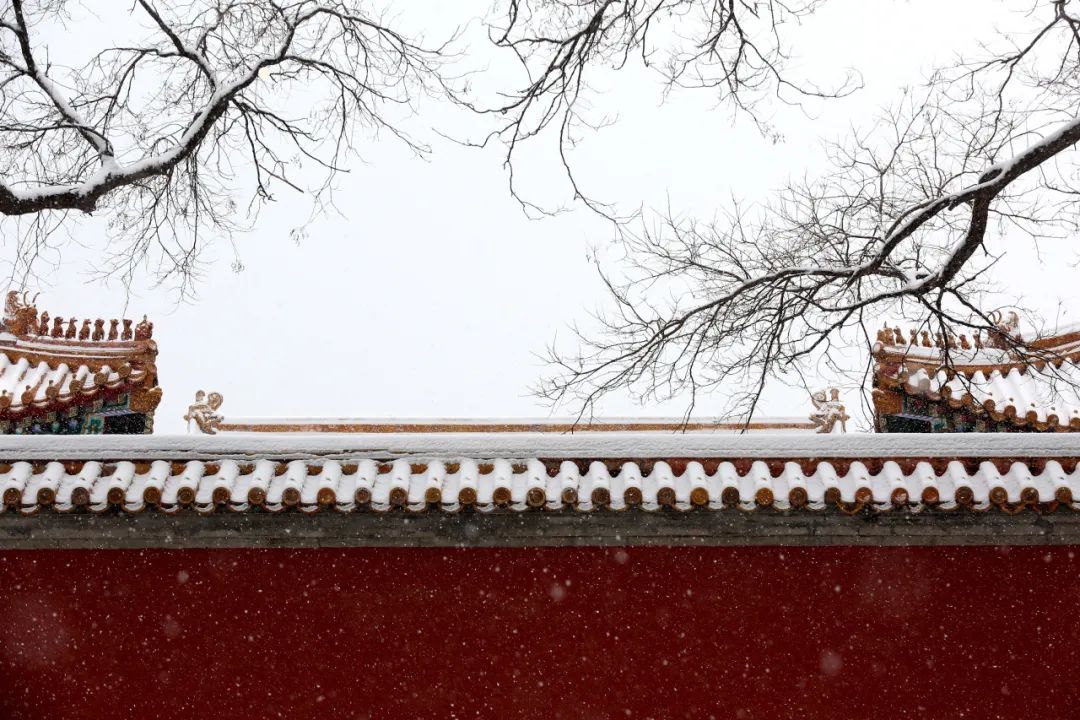 北京初雪如约而至，美图来了——