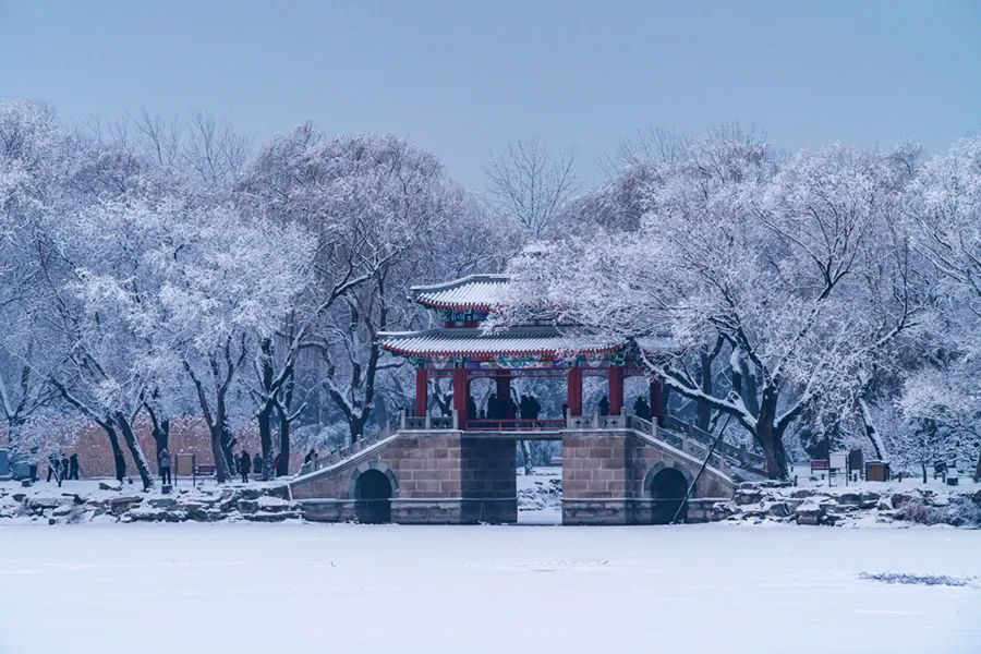 北京初雪如约而至，美图来了——