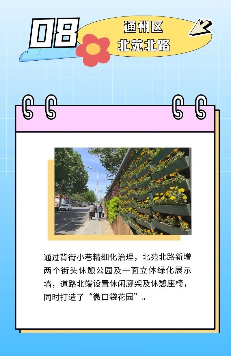 “城市漫步”好去处！2023年十大“北京最美街巷”发布，你最喜欢哪一条？