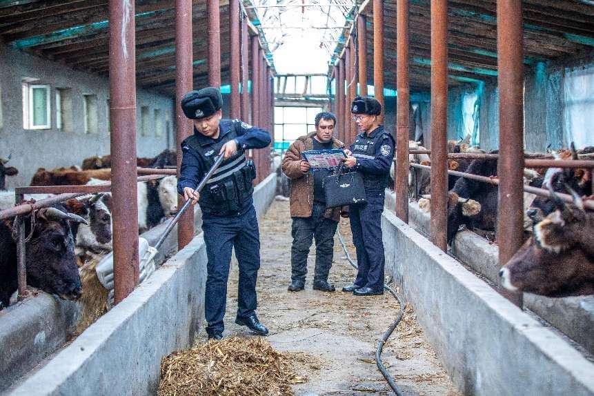 新疆伊犁：新年第一天，民警深入牧区服务牧民群众