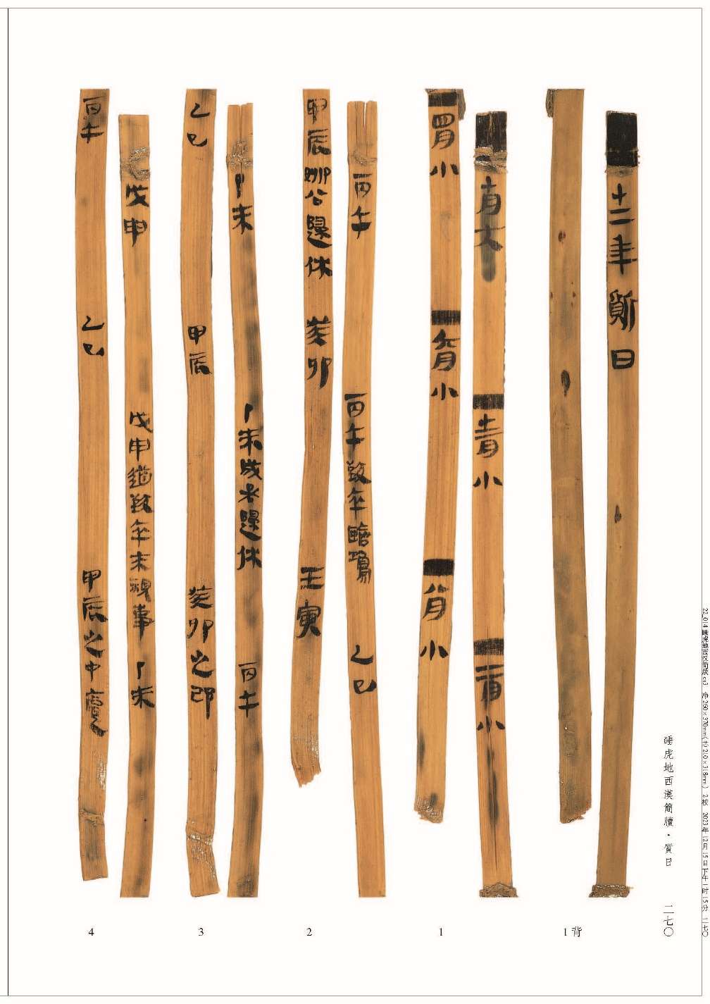 《睡虎地西汉简牍》第一卷《质日》在武汉大学发布