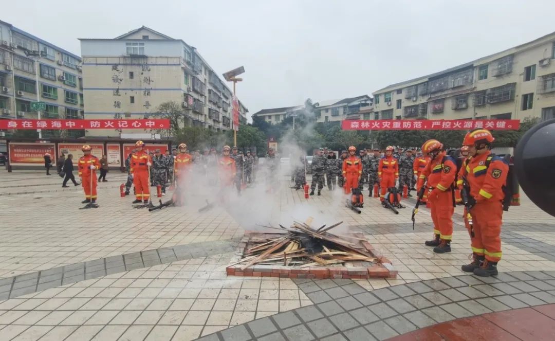 重庆市全面推行“135”早期火情处理机制，全面提升森林火灾综合防控能力
