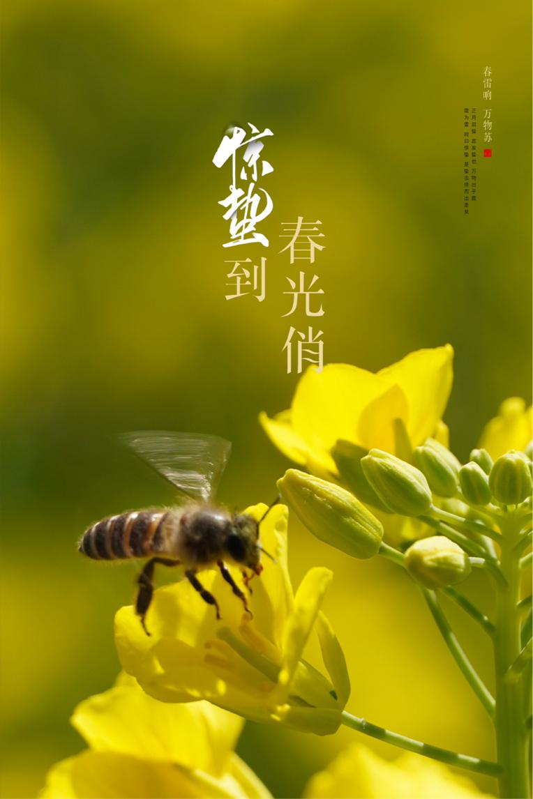 【节气海报】节气中的大美中国｜惊蛰到，春光俏