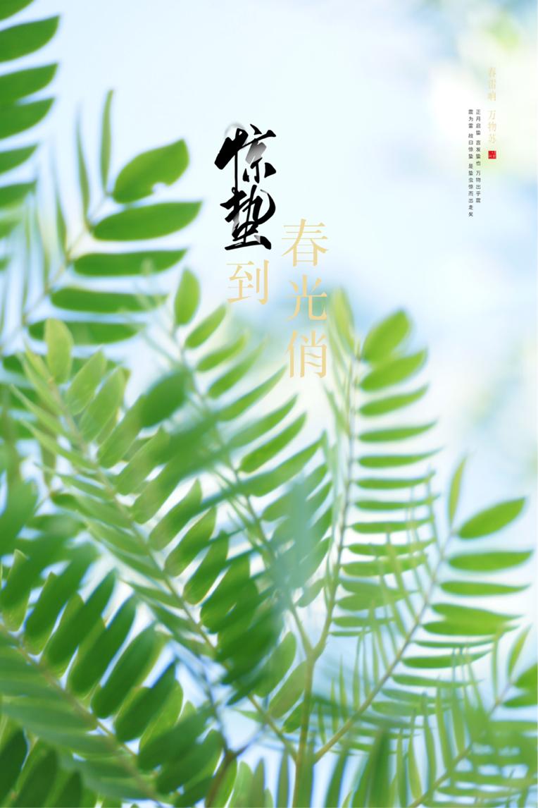 【节气海报】节气中的大美中国｜惊蛰到，春光俏