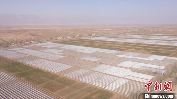 新疆伽师今年计划种瓜25万亩 高标准农田助瓜农迎“甜蜜”春天