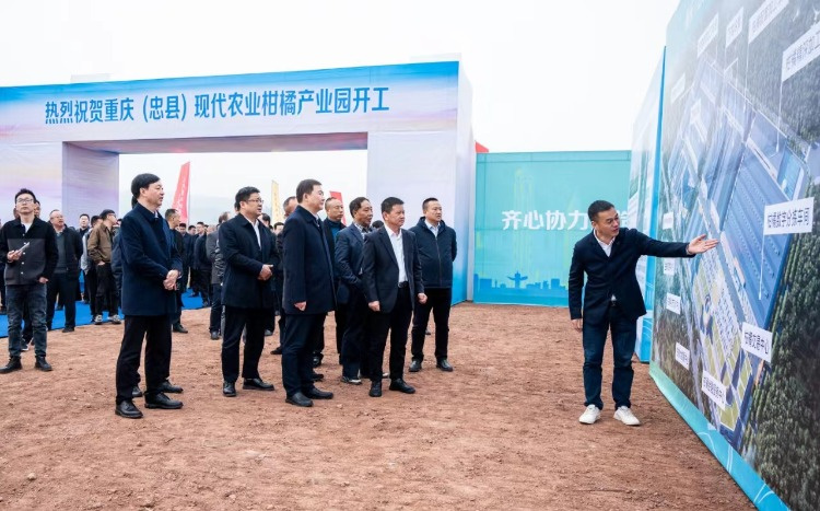 首次接触就敲定合作，重庆忠县这个20亿元项目是咋搞定的？
