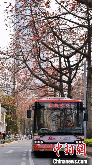 广州发布4台“红棉公交” 打造流动“红棉学堂”