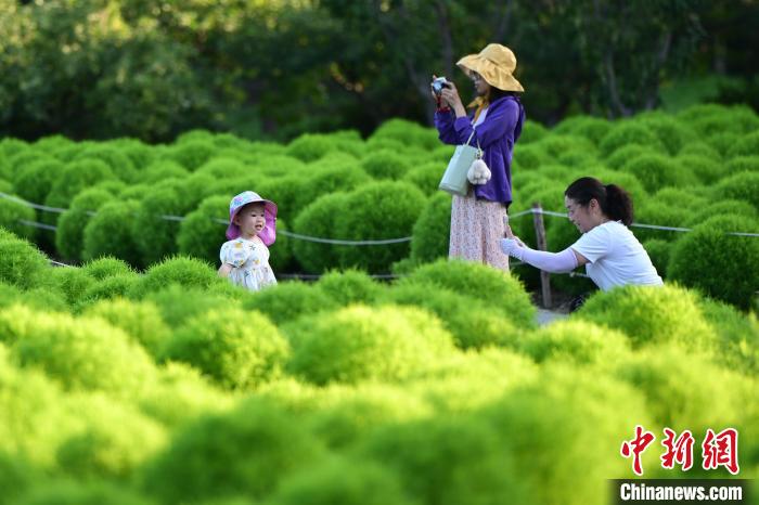 北京推动休闲公园等建设 人均公园绿地面积达16.9平方米