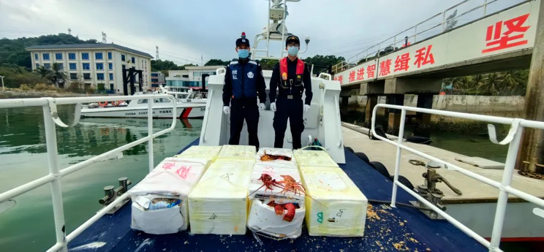 广州海关在珠江口水域查获一宗利用快艇闯关走私龙虾进境案
