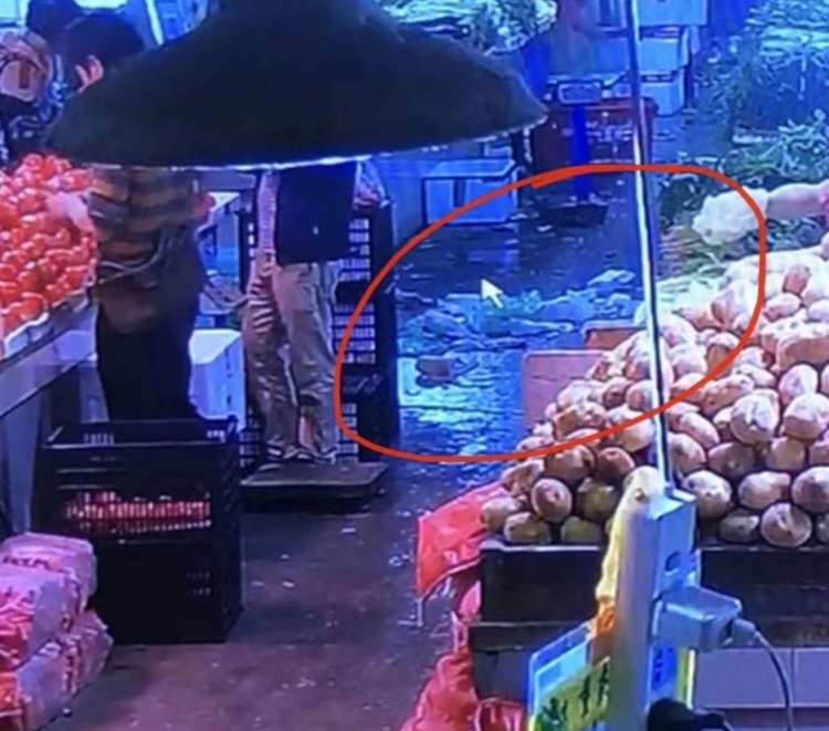 菜市场踩到塑料袋摔伤，他把菜市场和商贩一起告了