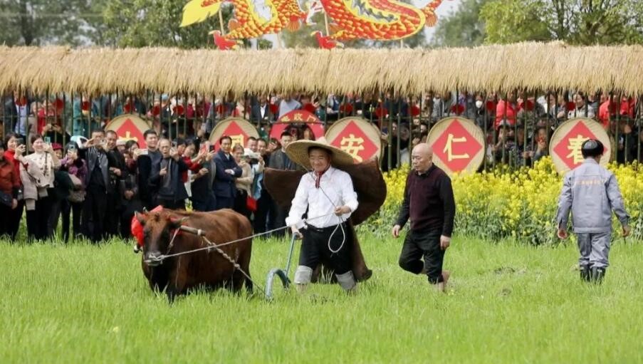 湖南安仁:十万人春分时节“赶分社”