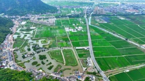 浙江瑞安打造“水利+共富”样板 让群众亲水而居因水而富 浙江瑞安打造“水利+共富”样板 让群众亲水而居因水而富